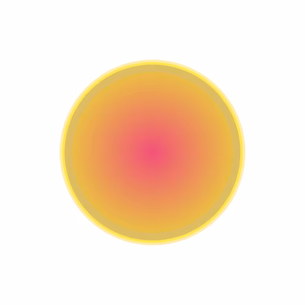 disk (019) #2