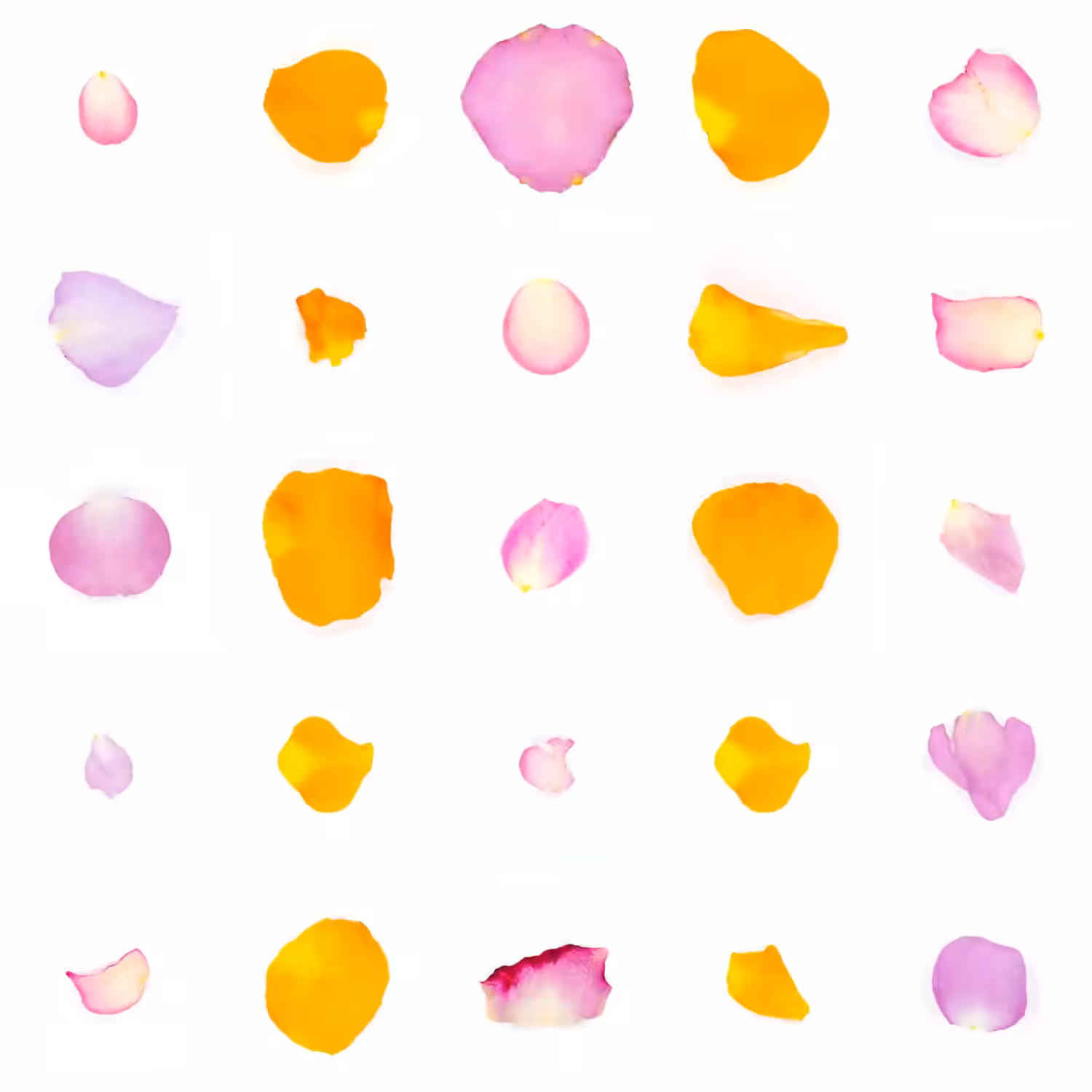 Infinite Petals 5x5#20956