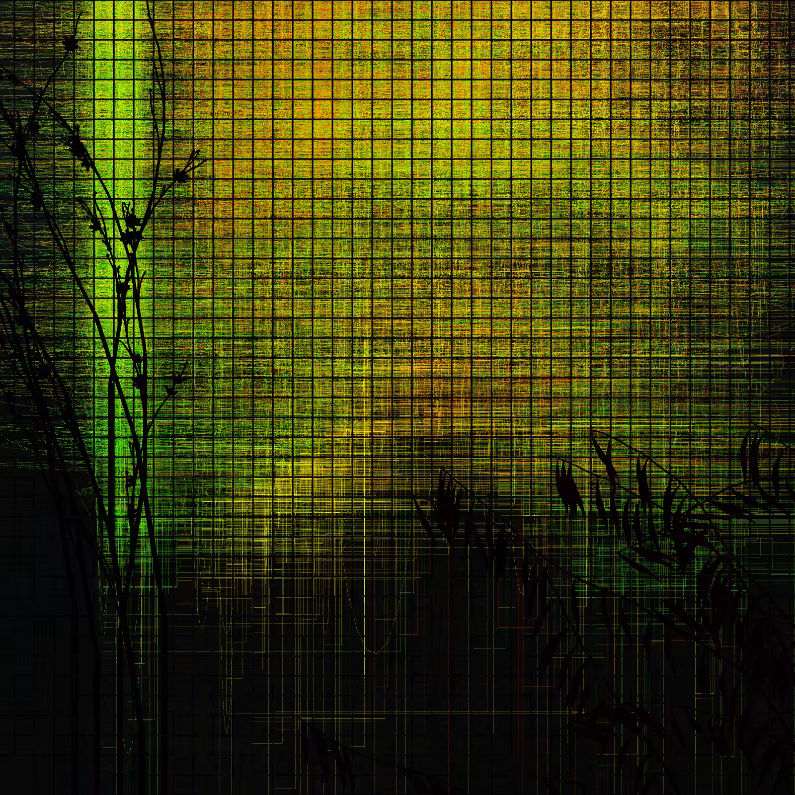 Deep forest #43