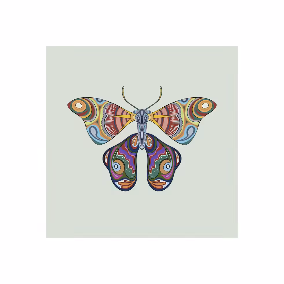 The Moth Experiment  #14