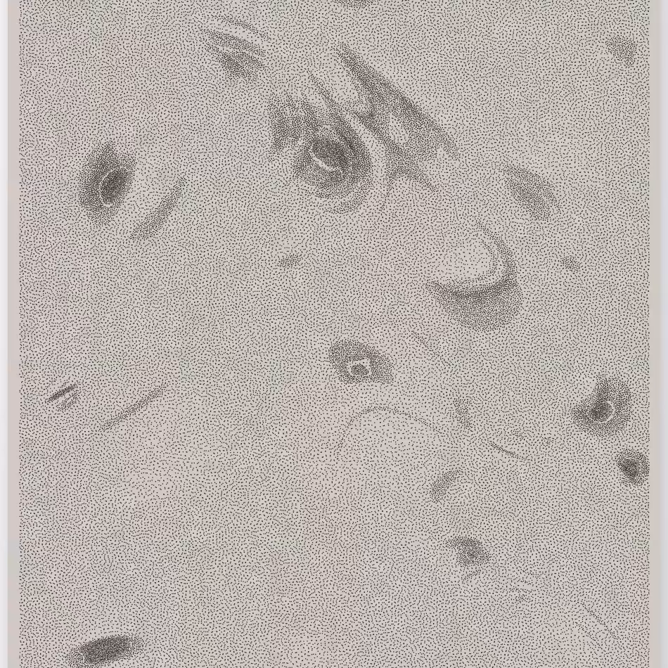 Caustics #210