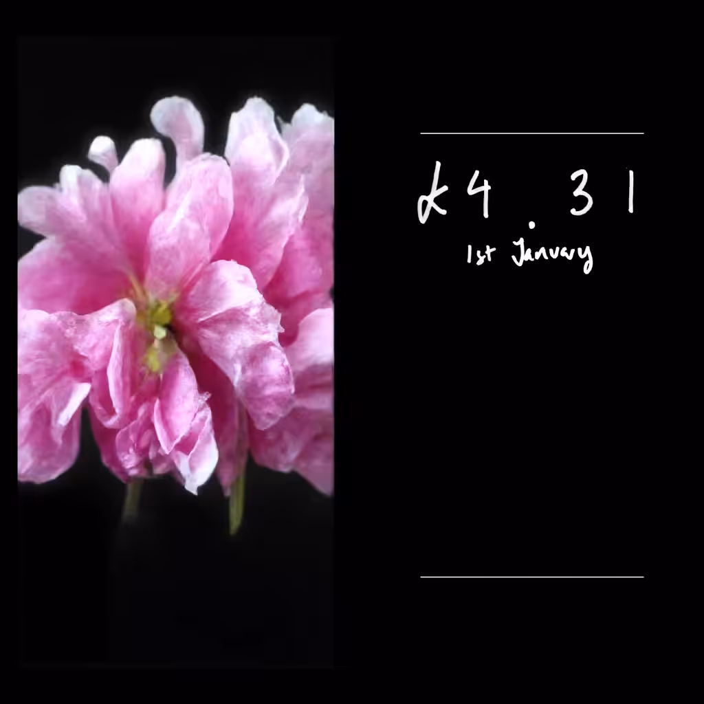 Price Per Stem 17