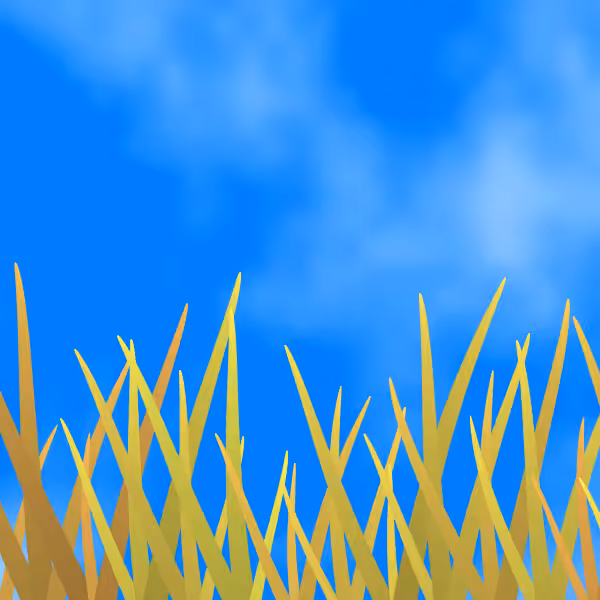 Fields of Ukraine #4