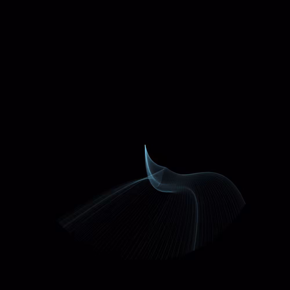 Animal Series