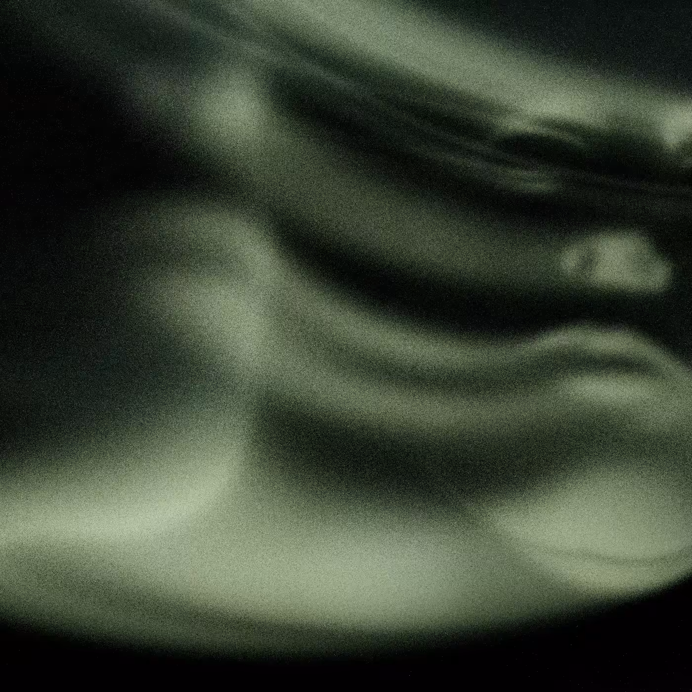 Emotional Shell #370