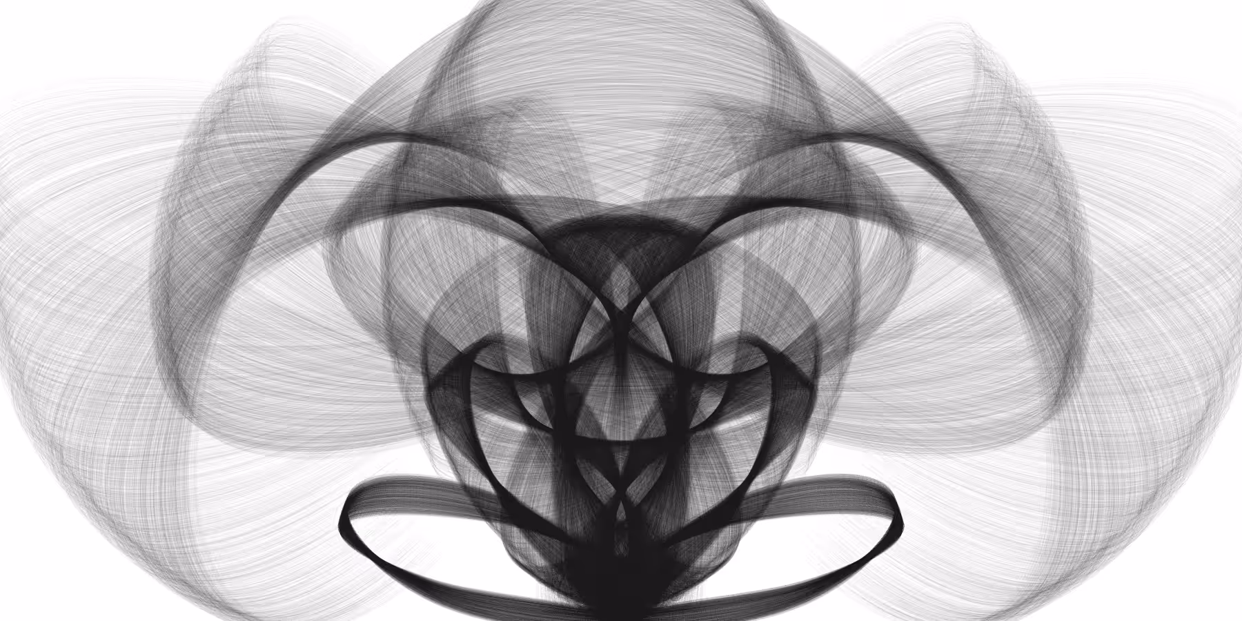 Midnight Moth
