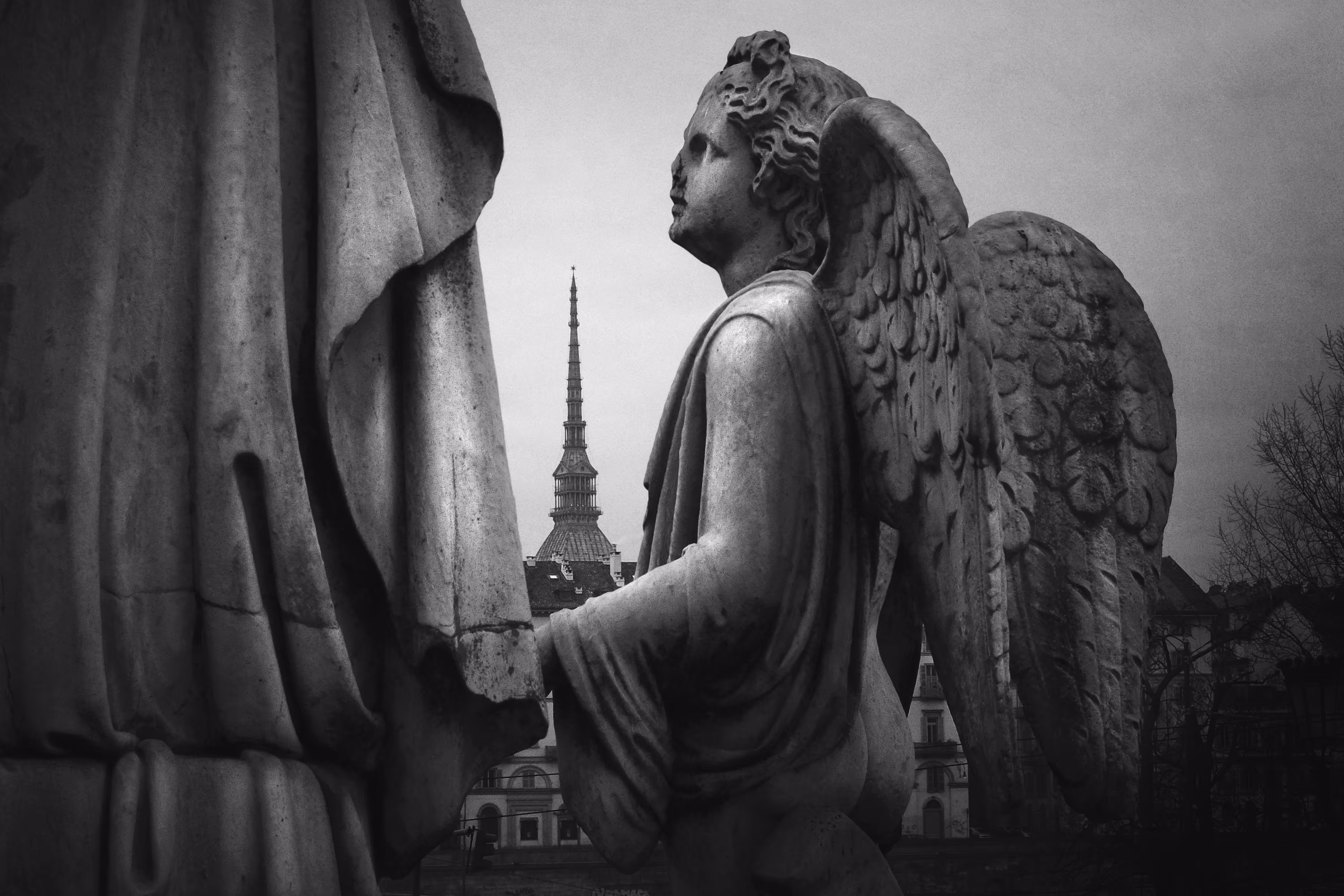 Angel of the city