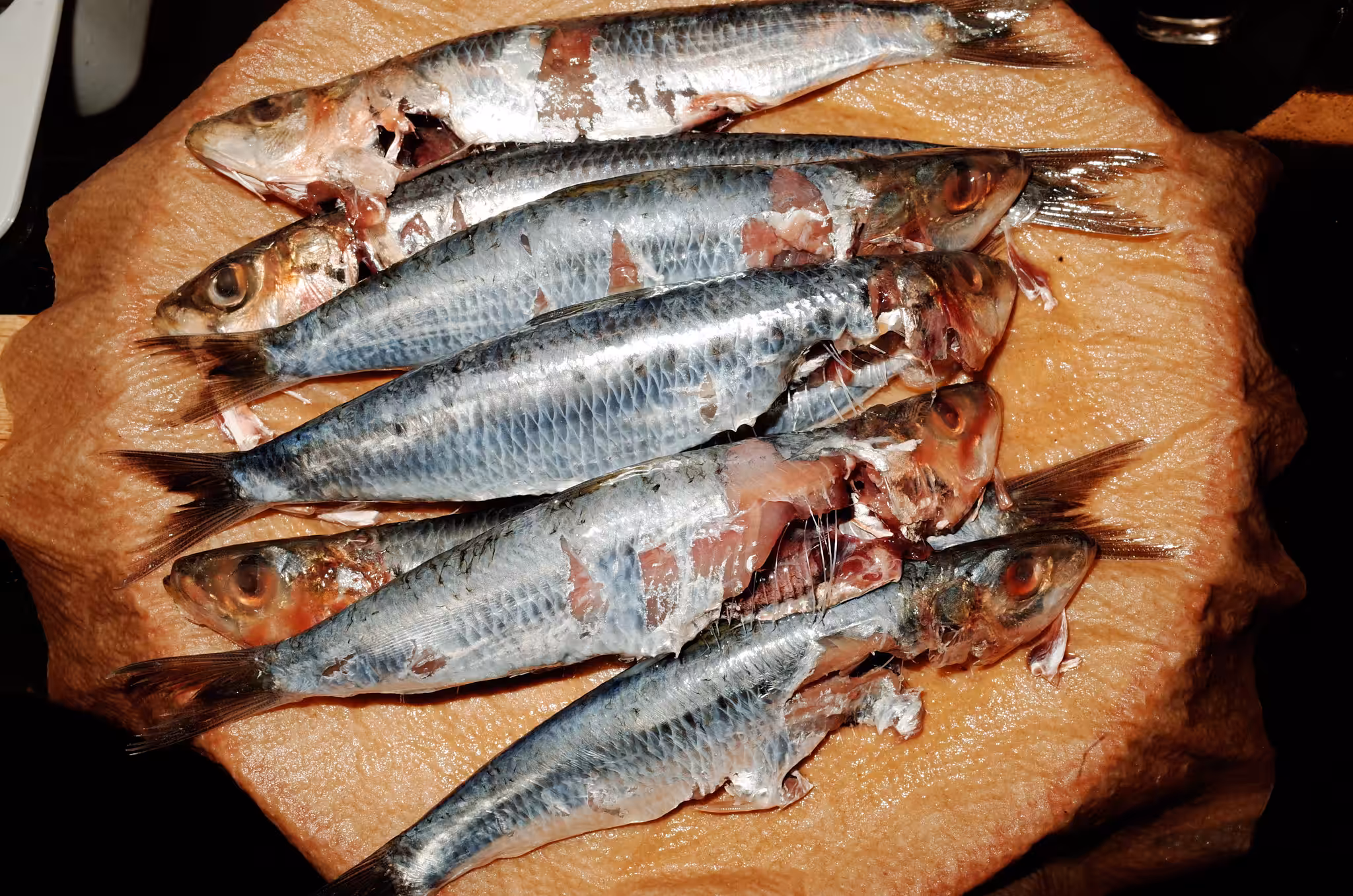 Fish for Dinner #1