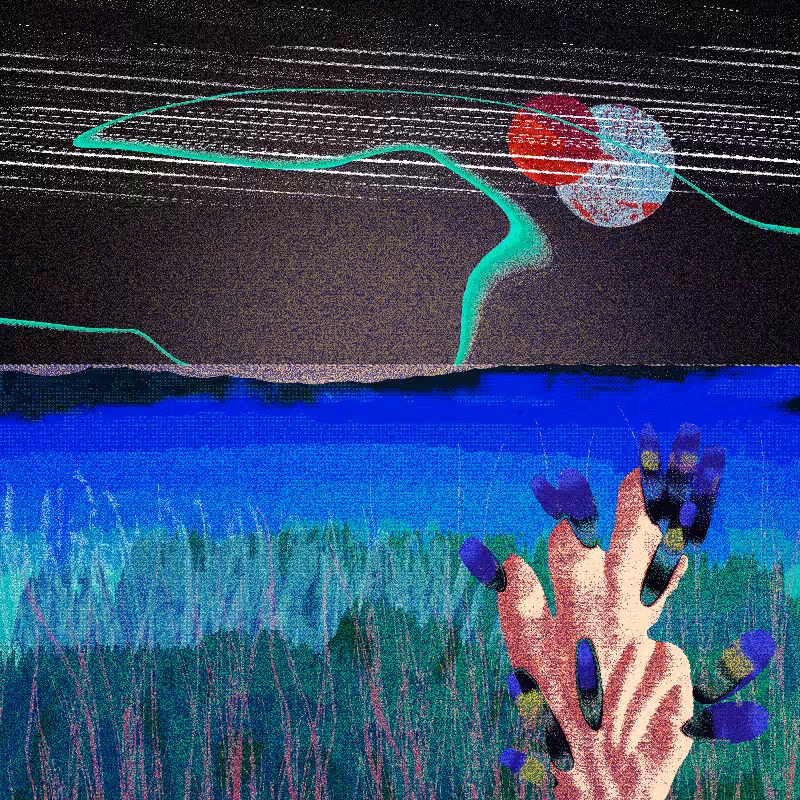 Ceshan's Psychedelics #291