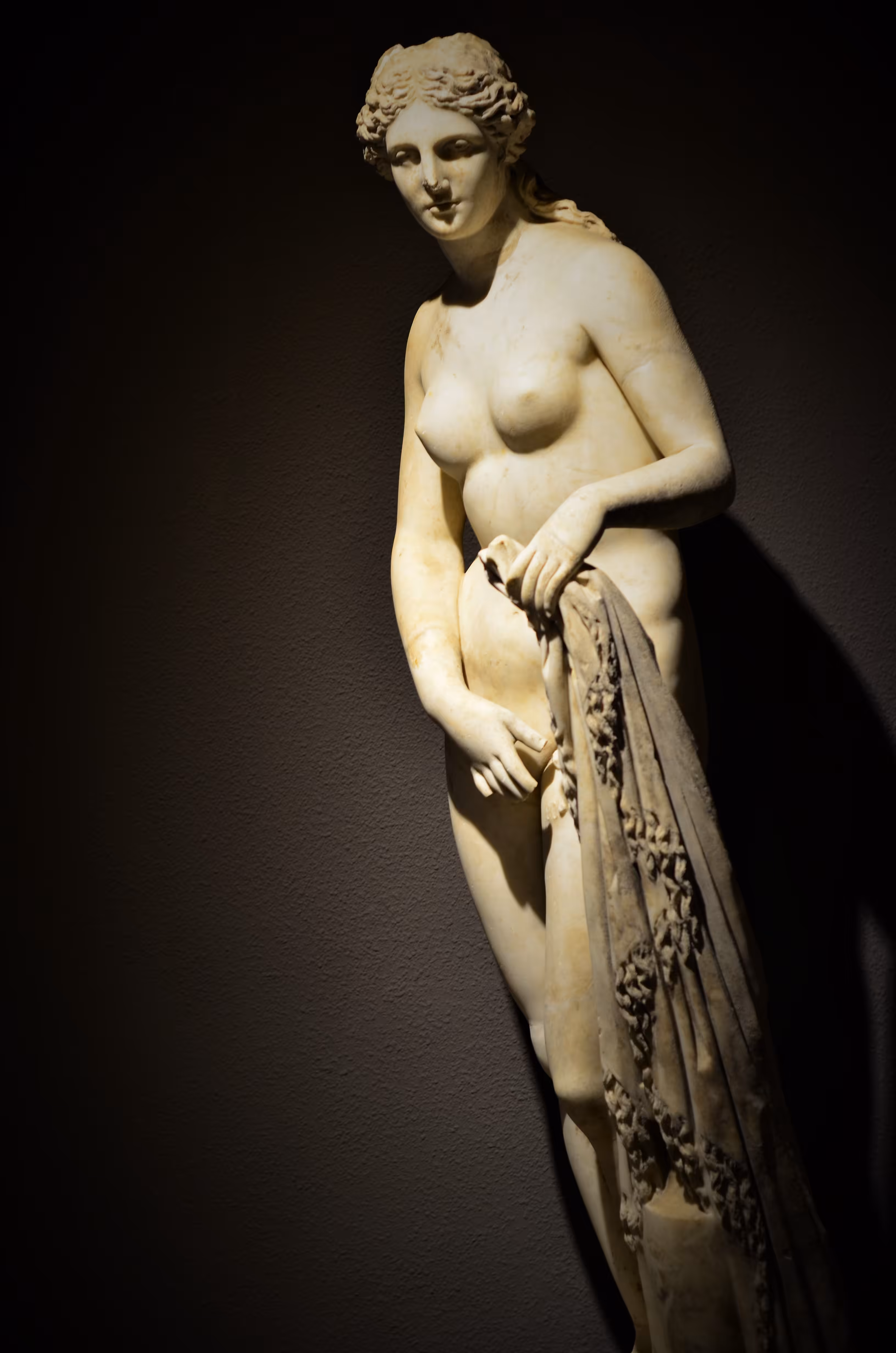 Aphrodite  (Venus)