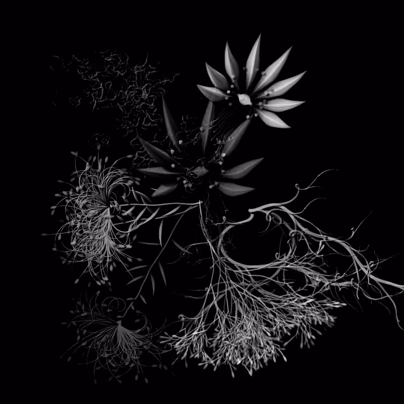 Botanical Ghosts #91