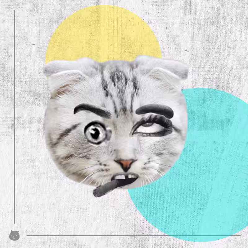 Kittenstein #3