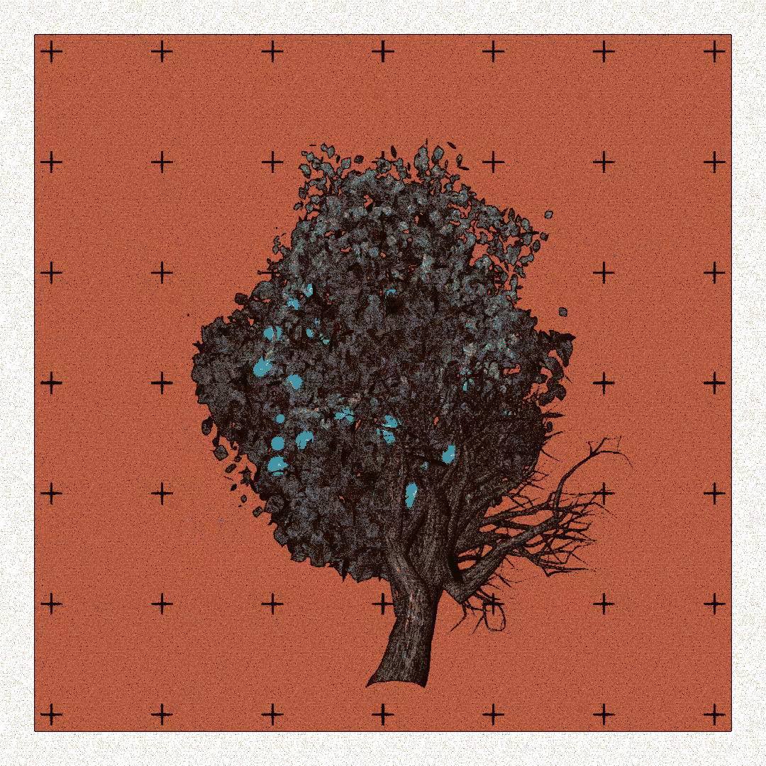 _argania[primaria] #297