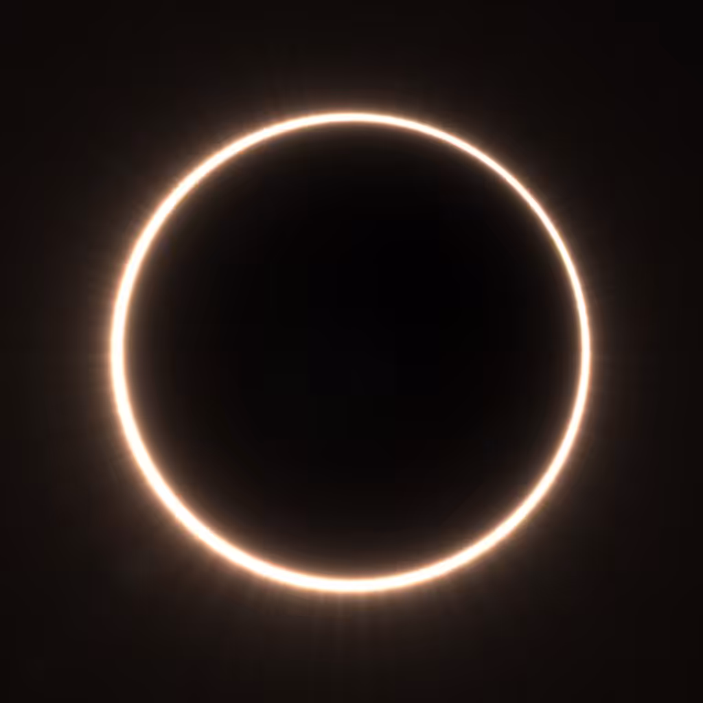 Totality #78