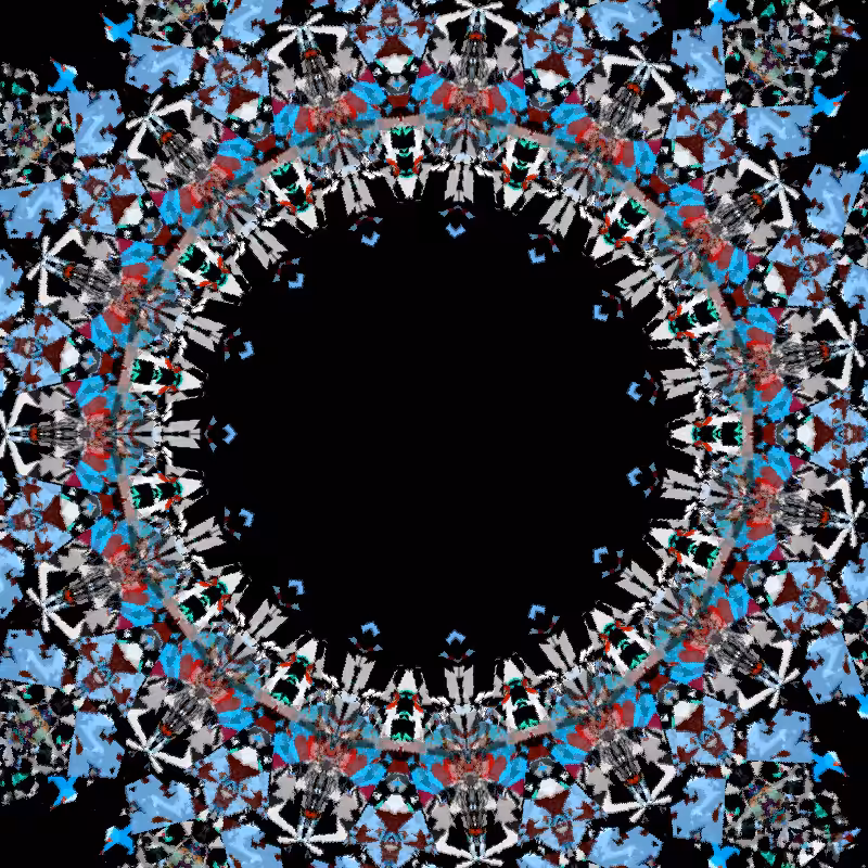 Blotter Motion #11