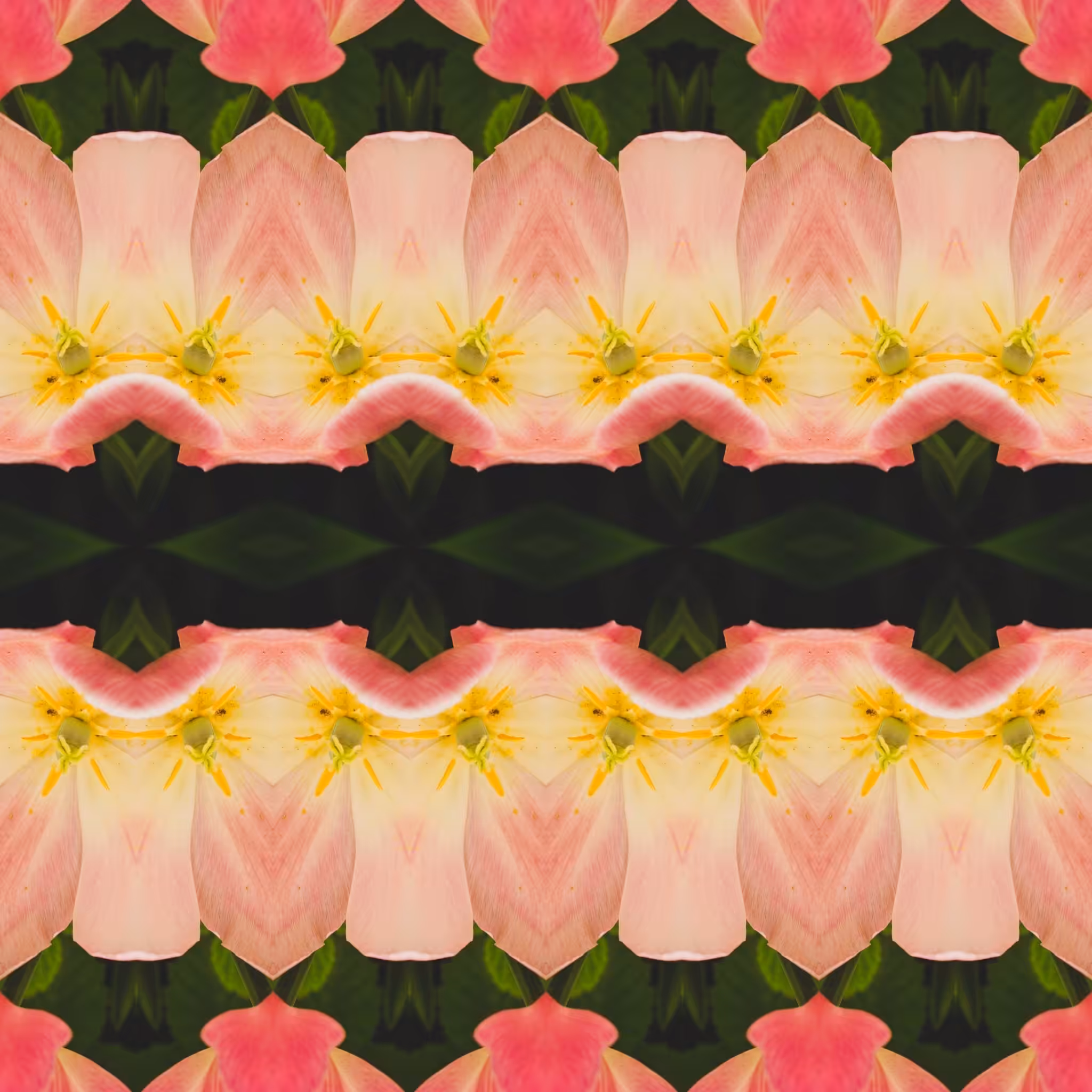flower curtains iii