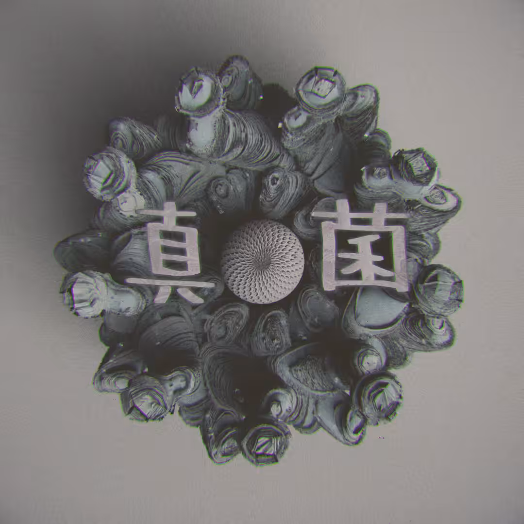 真菌 "Shinkin"