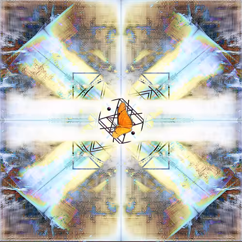 Tripendicular Orange Moth 02