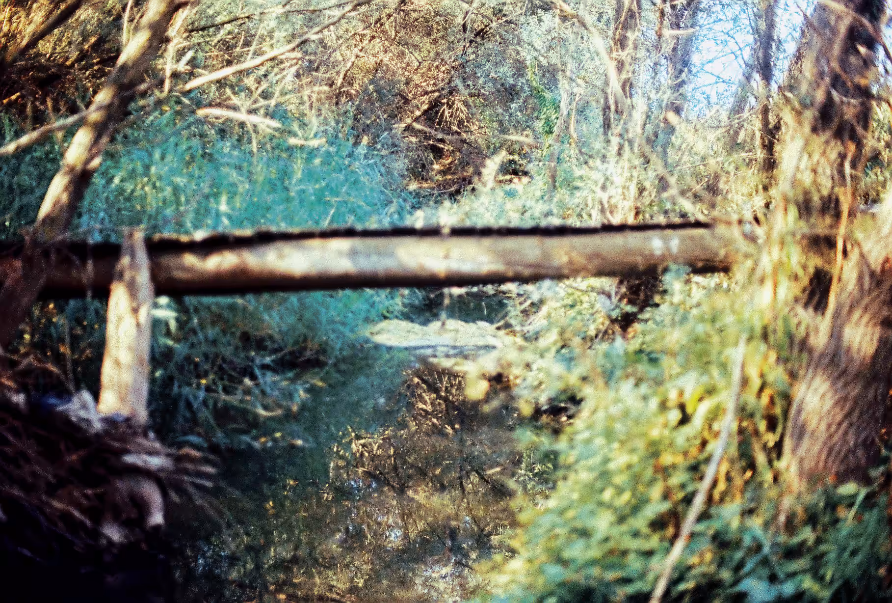 hidden corner
