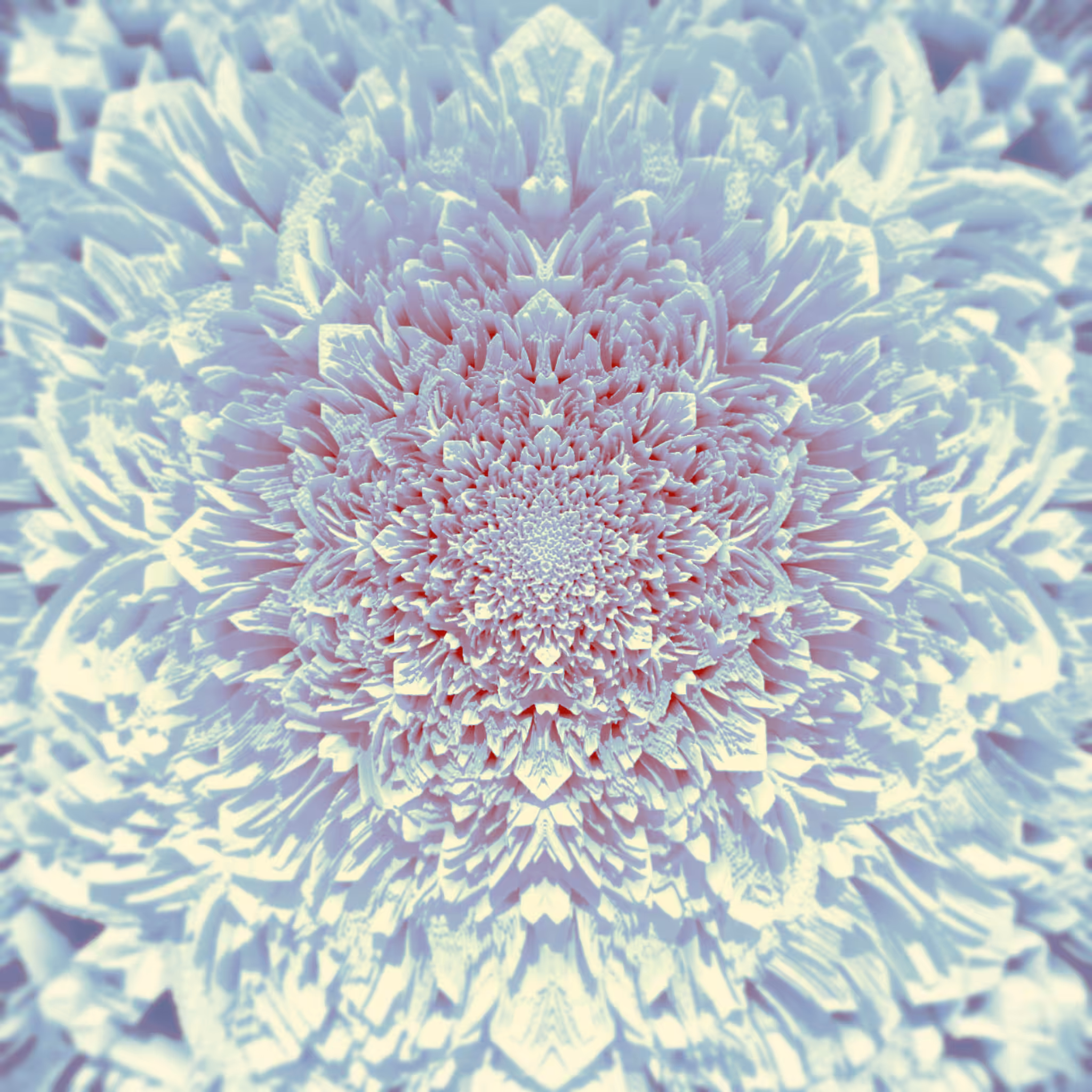 Endless Petals