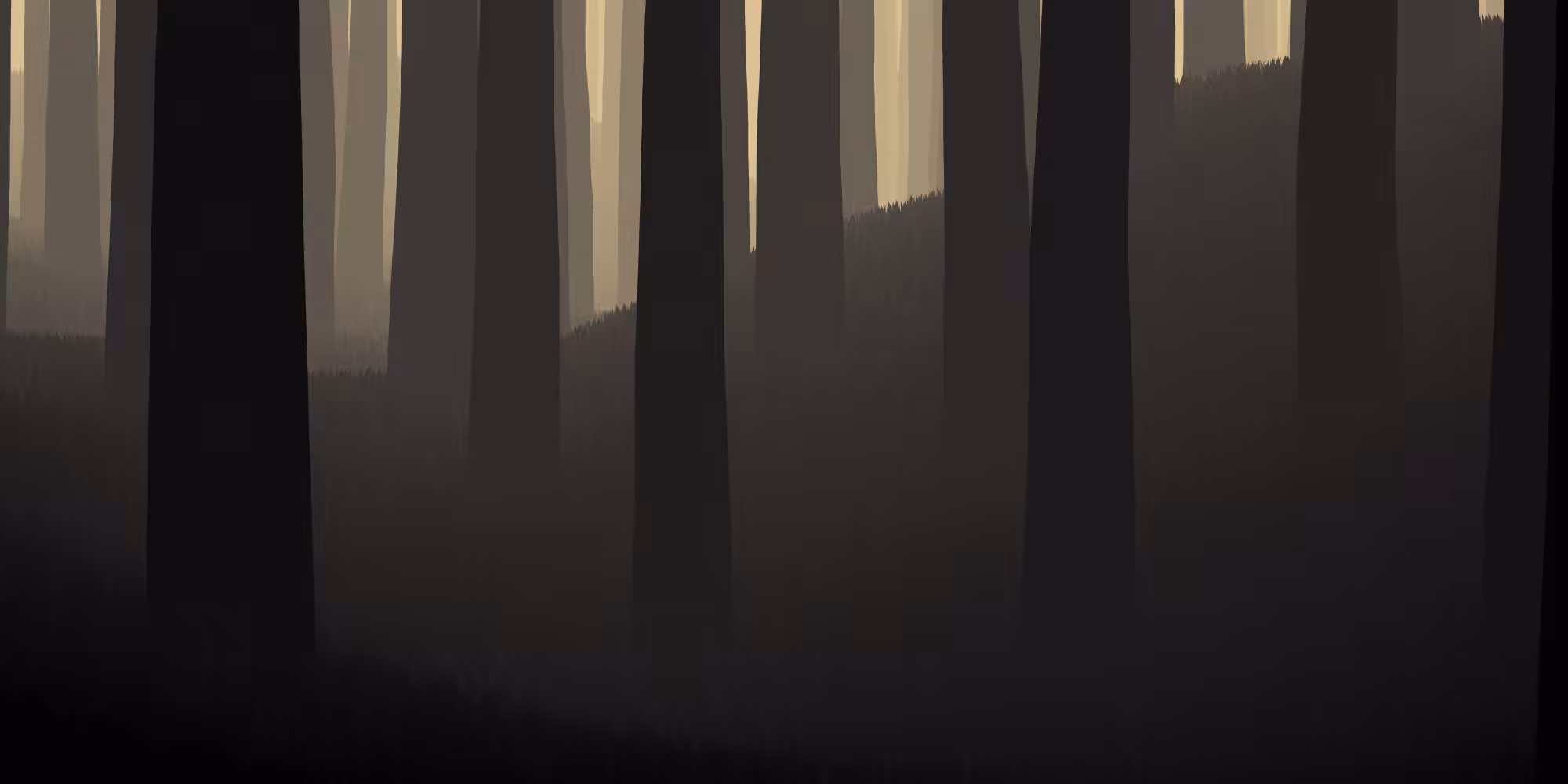 Sherwood #14