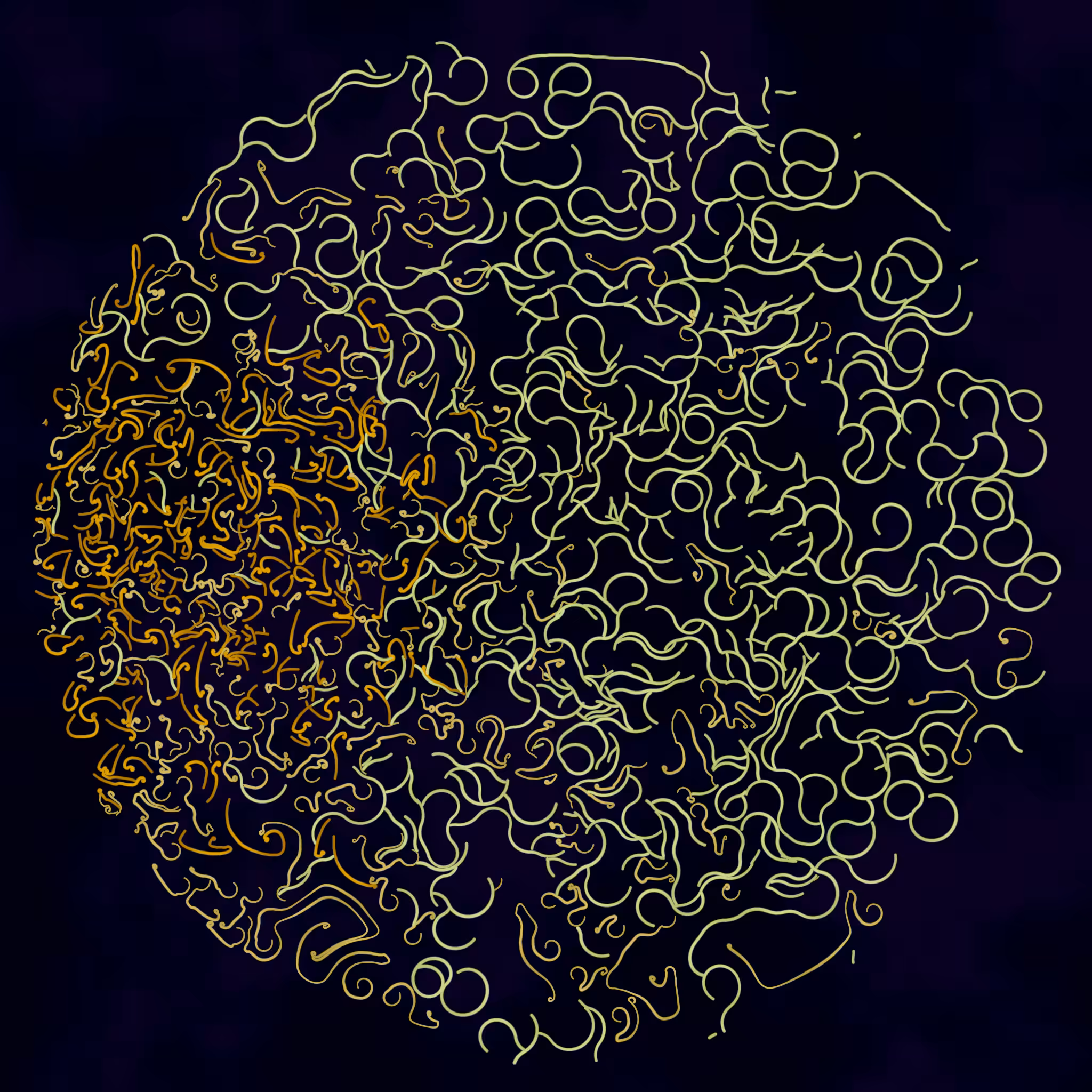 mycelia #191
