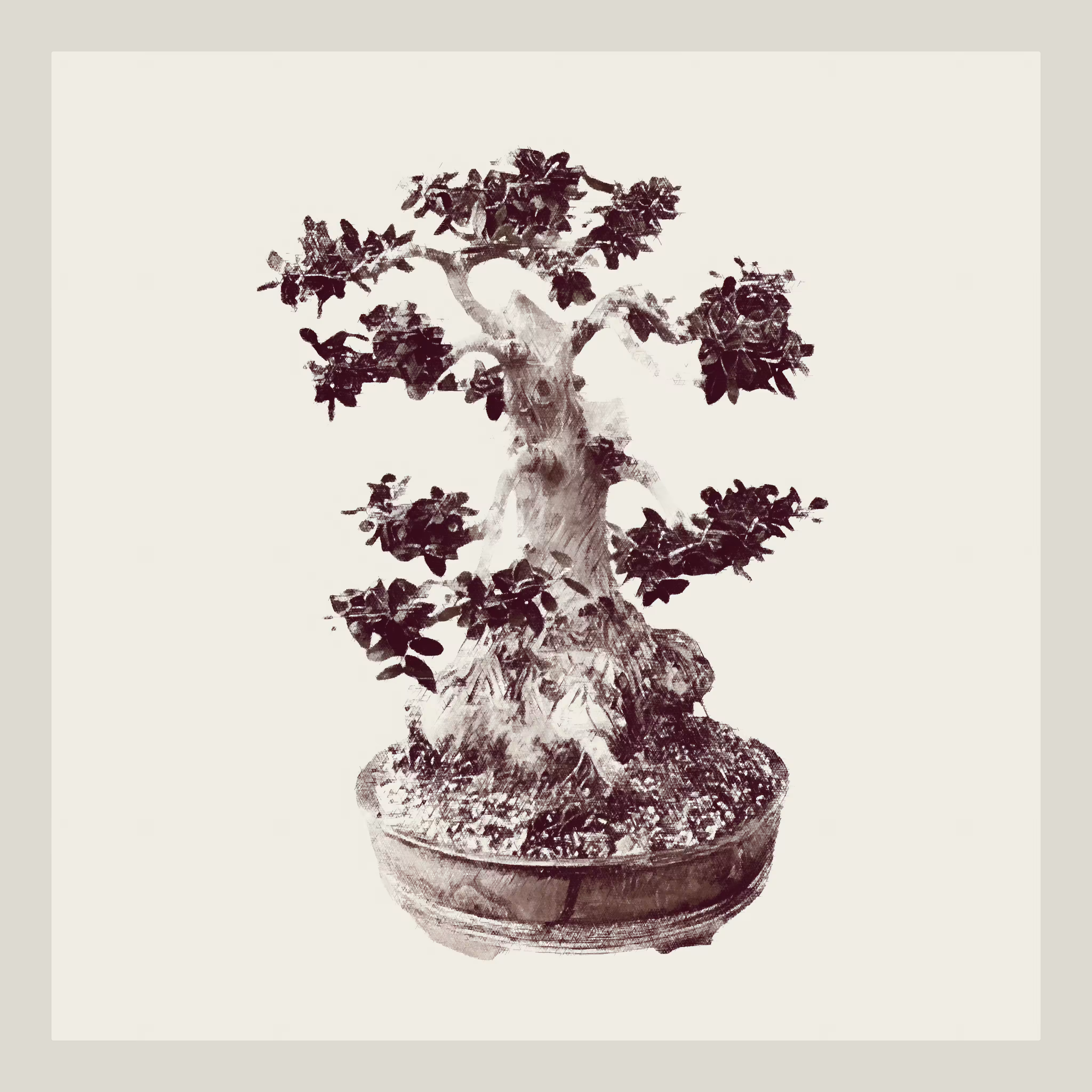 Wild Olive Bonzai generative tree