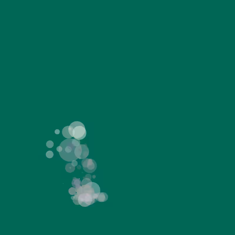 Evolution #13