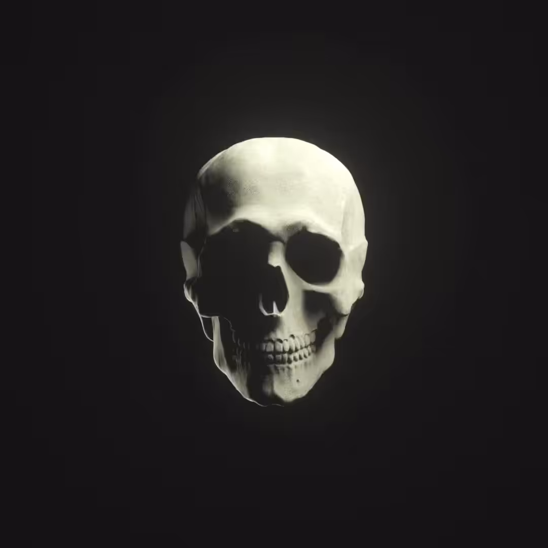 Osteo | Pulsare