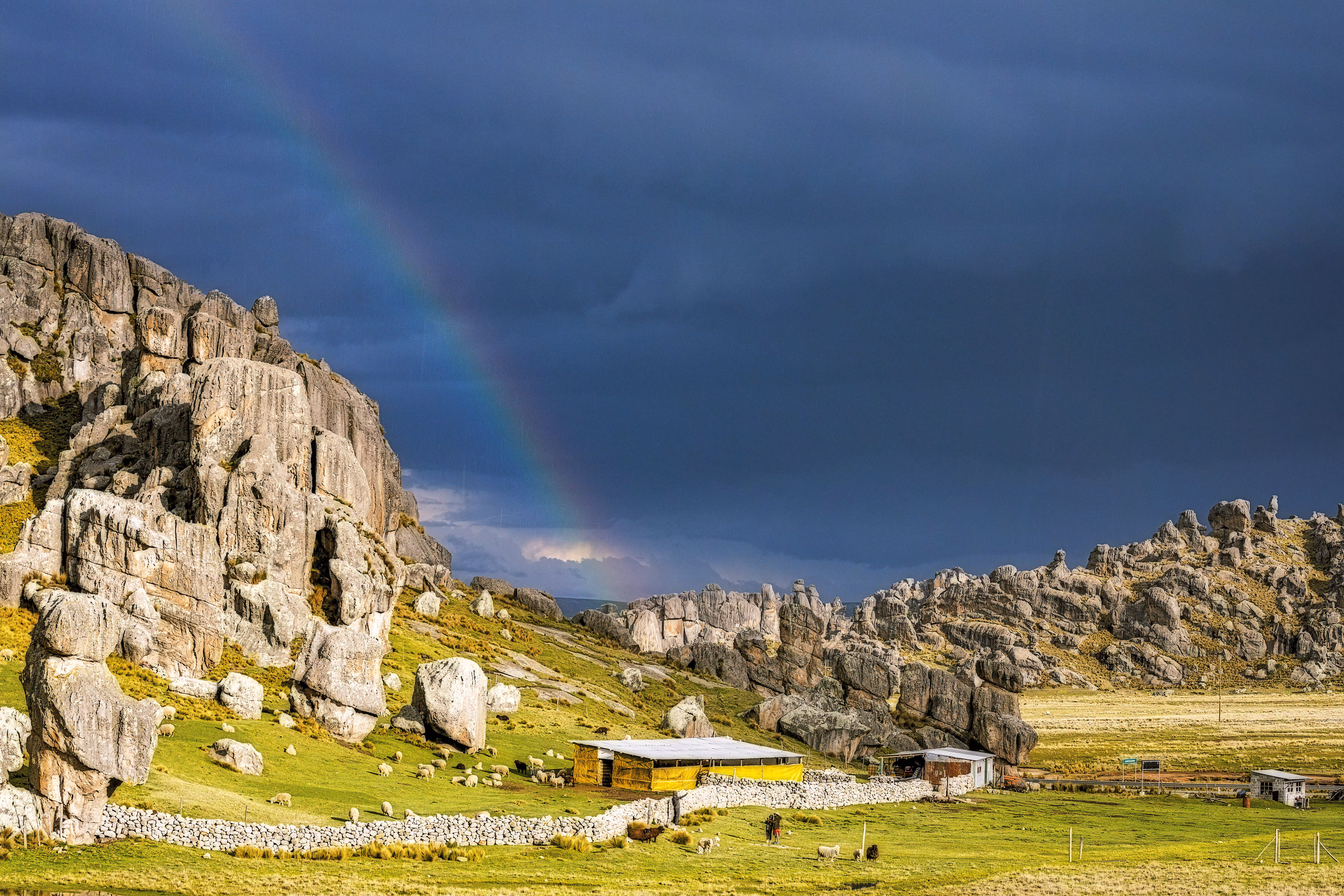 Andean Rainbow