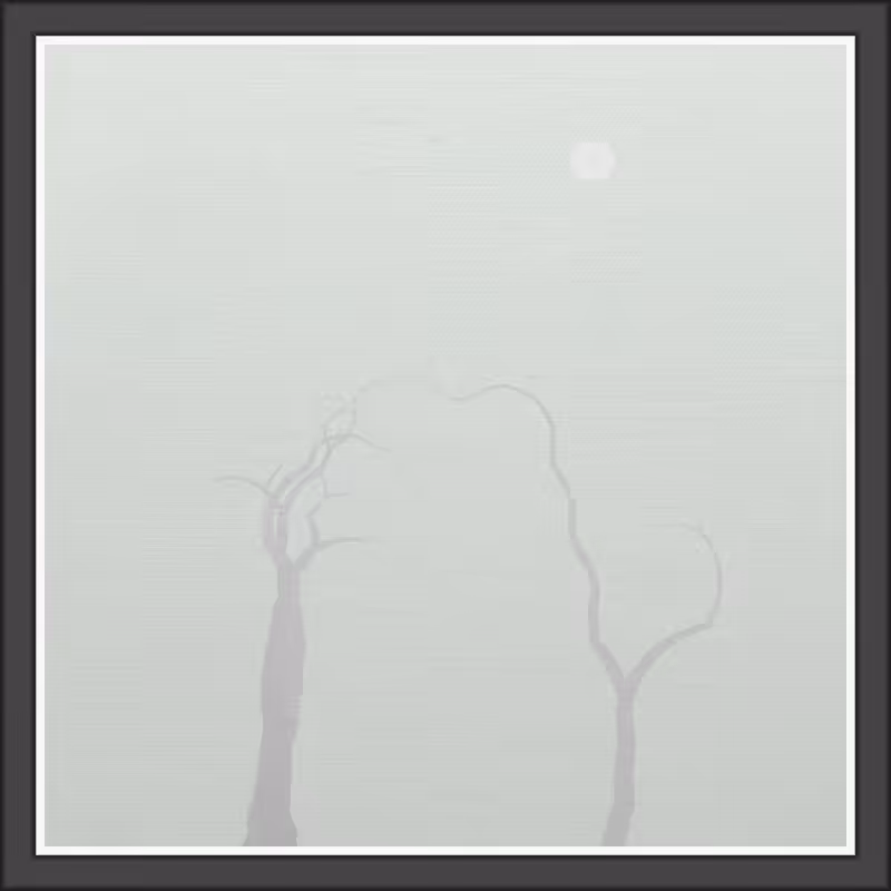 The Foggy Trees #83