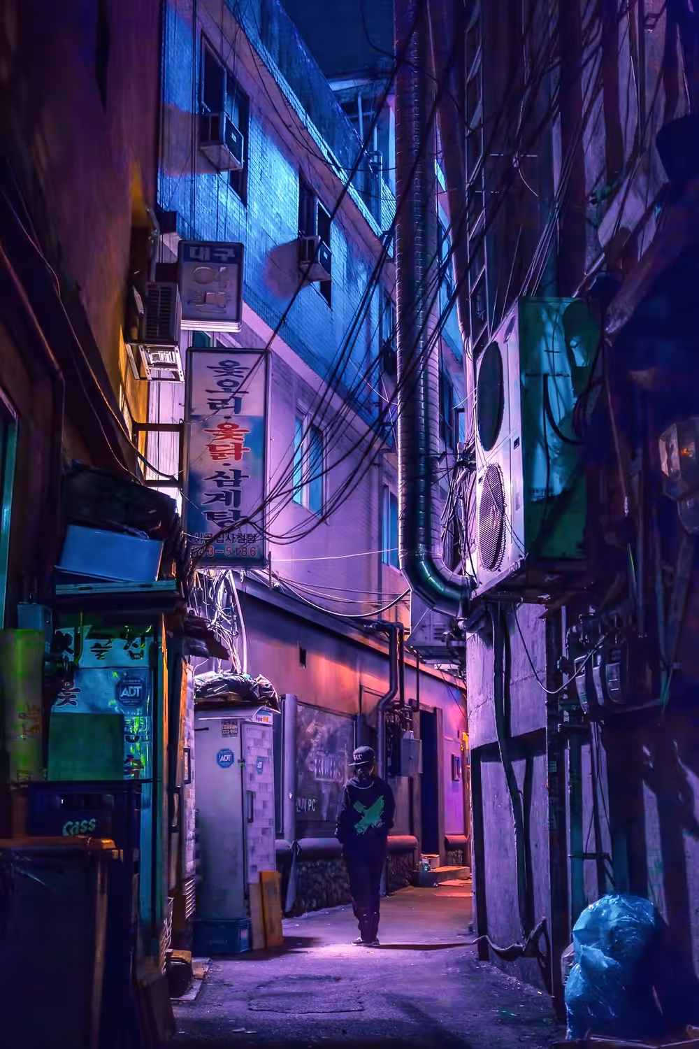 Into the Night