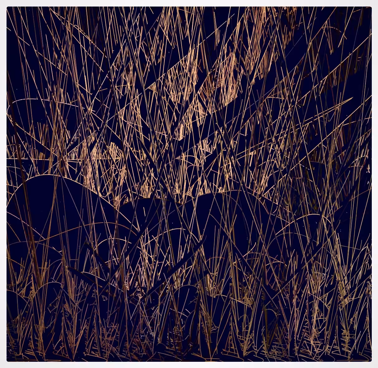 Creek