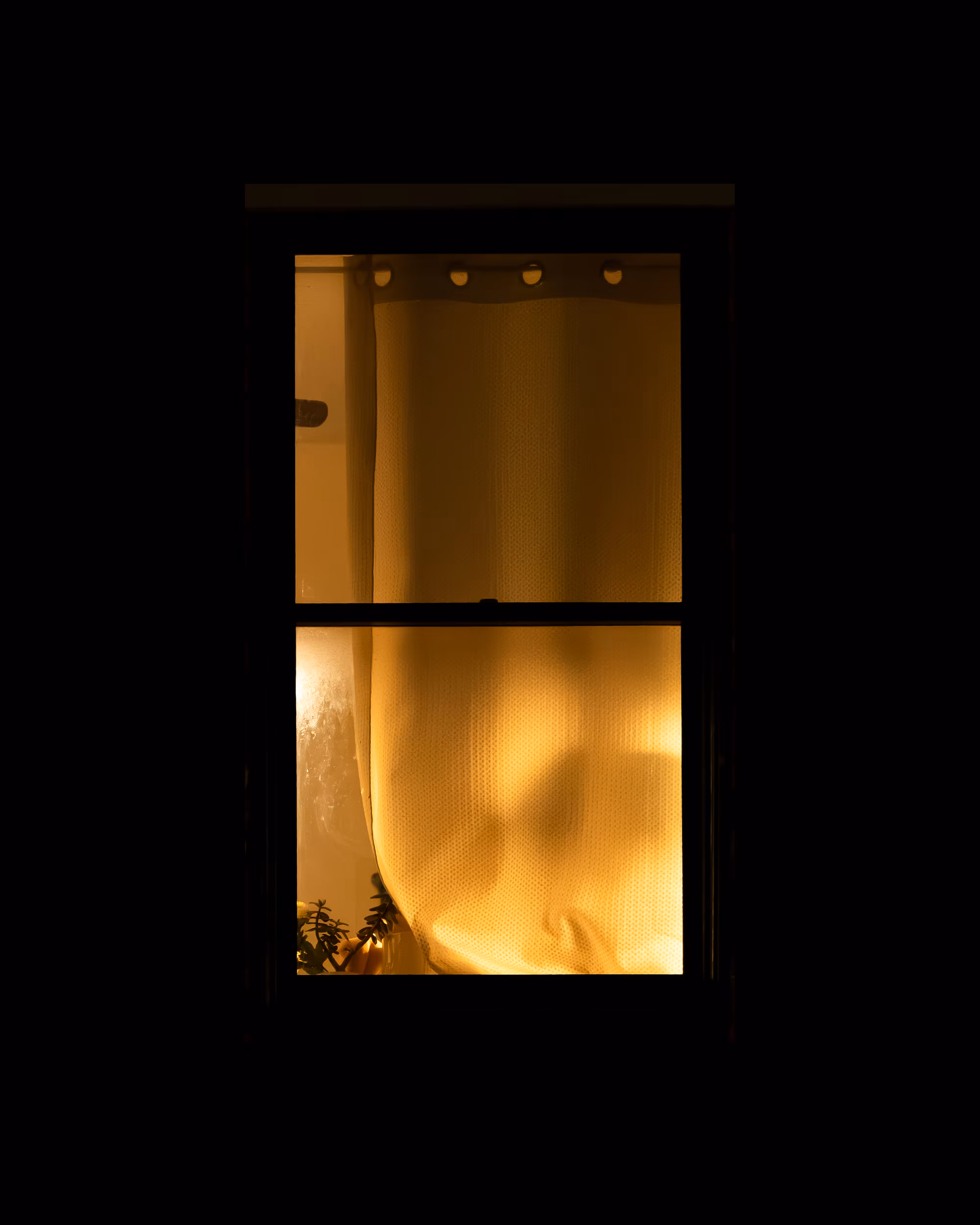 WINDOWS // NYC: WINDOW 711