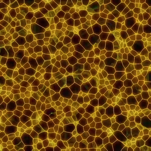 Diffusion Reaction