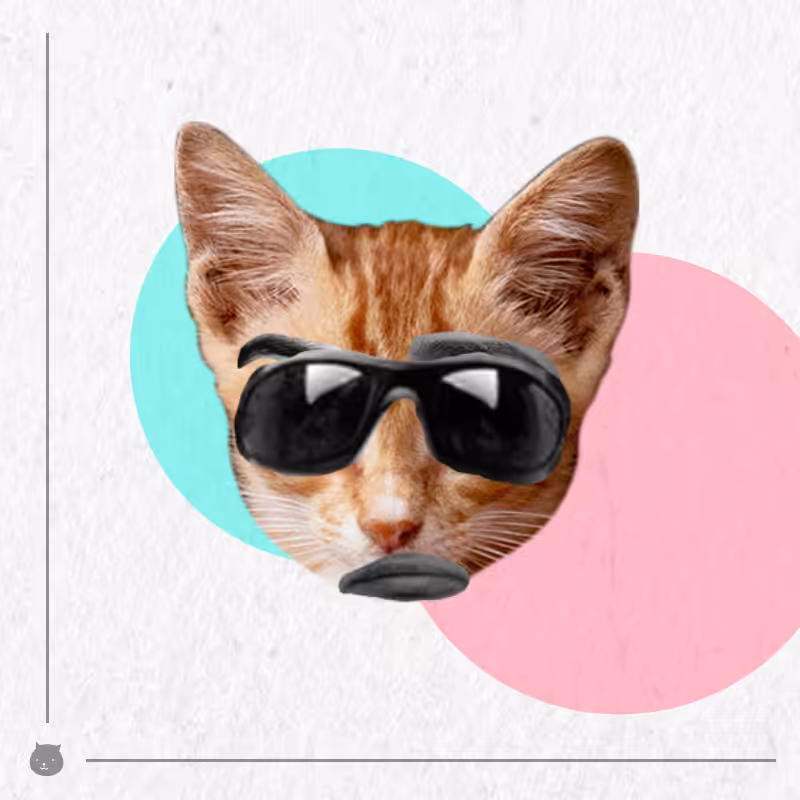 Kittenstein #53