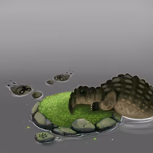 animals sanctuary: Alligator