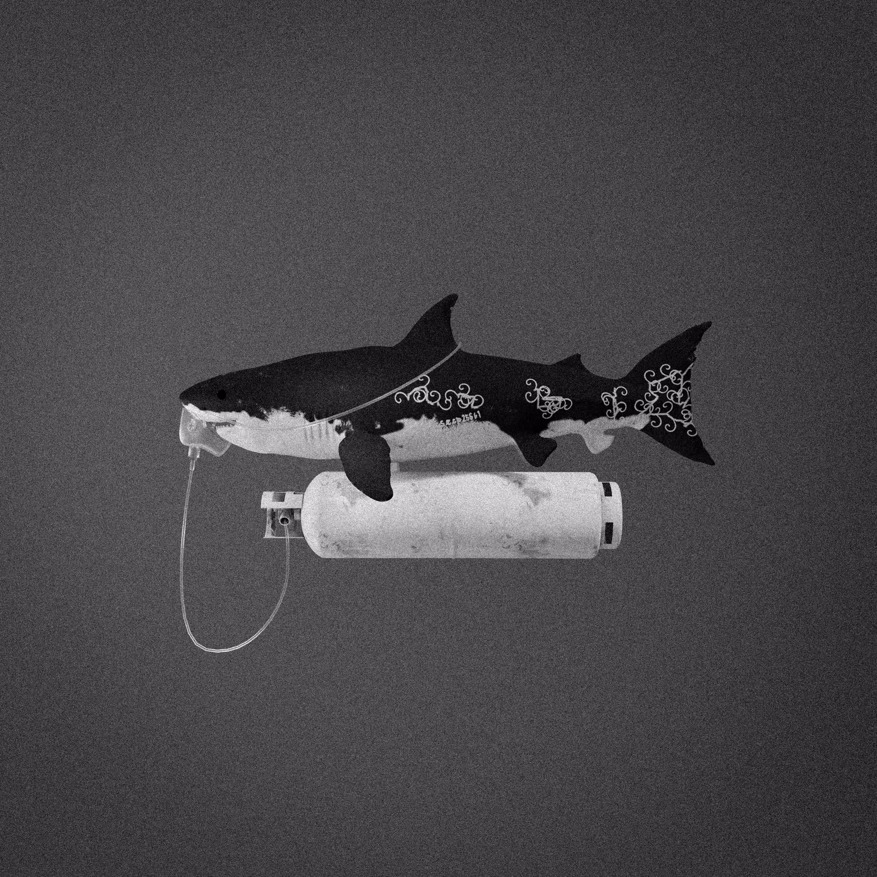 Non Fungible Shark [MONOCHROME]