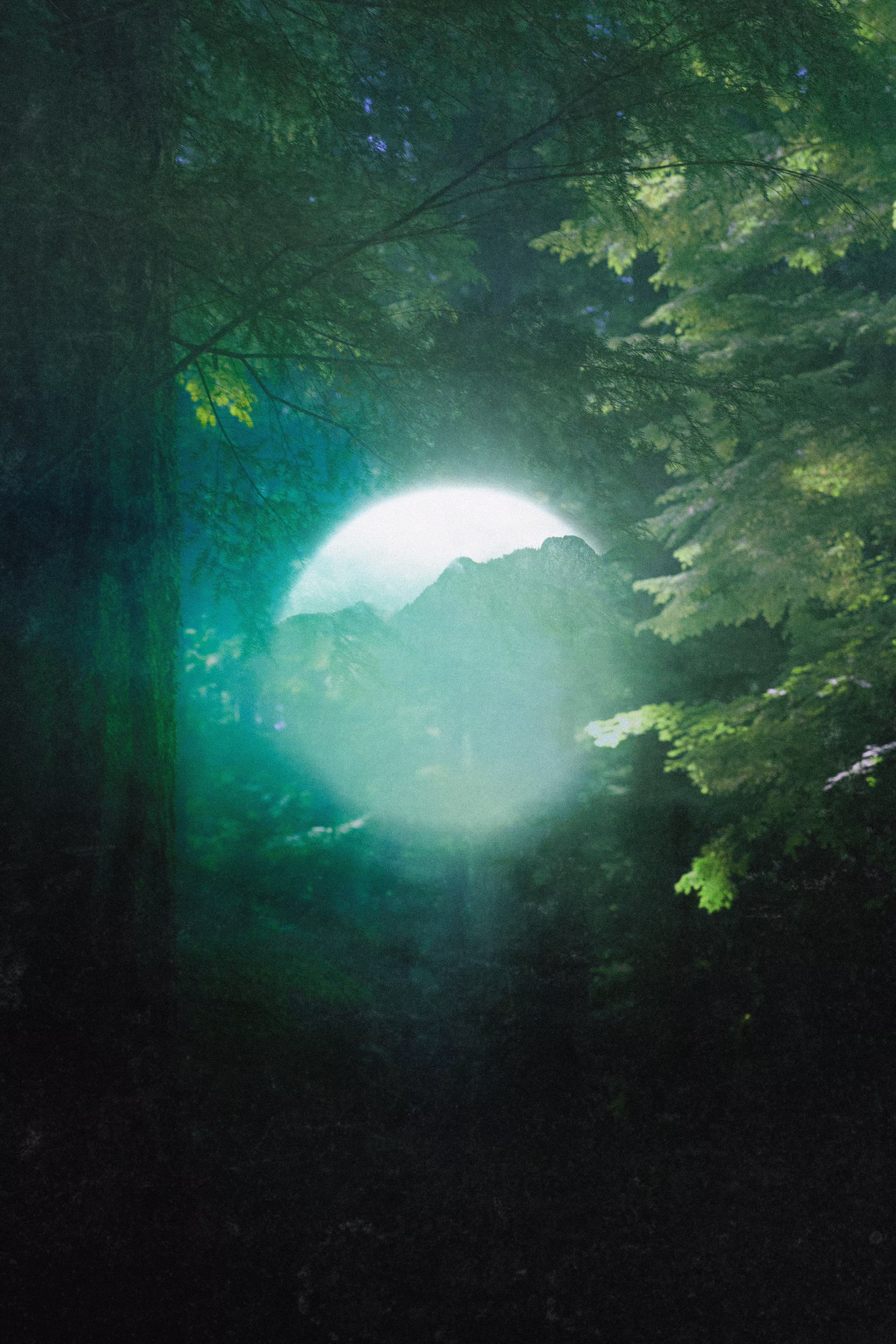 The Emerald Veil