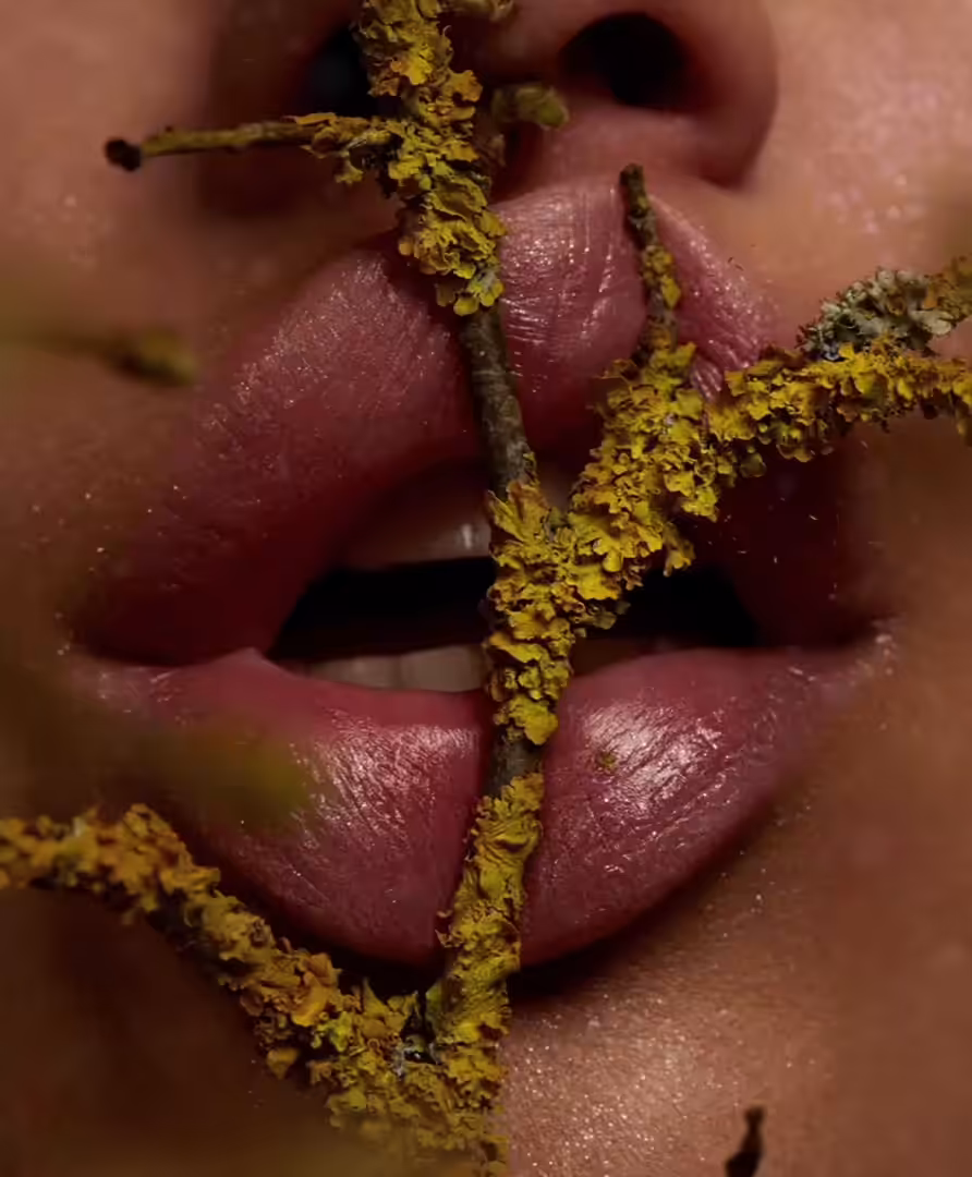Spores