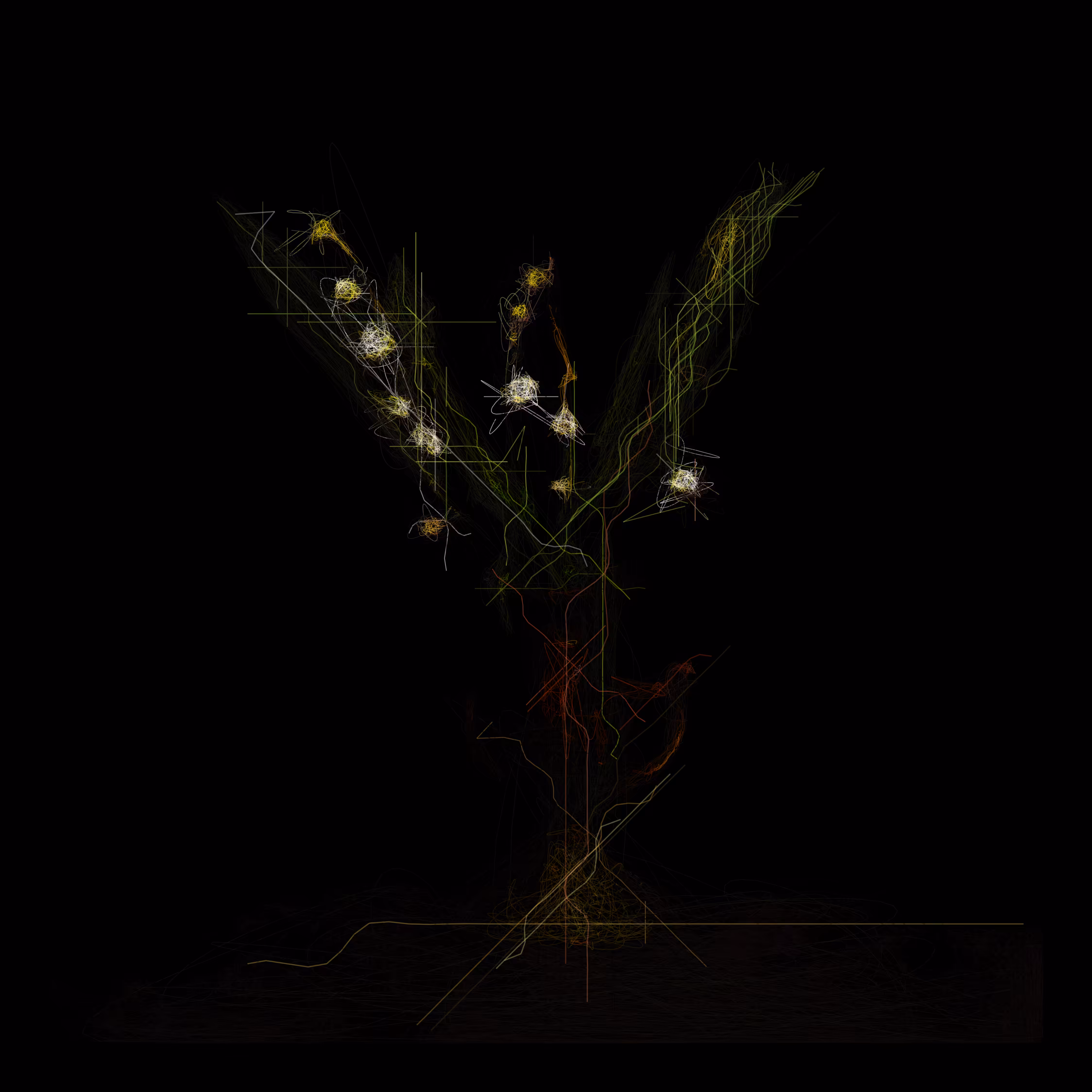 Lily of the Valley I
