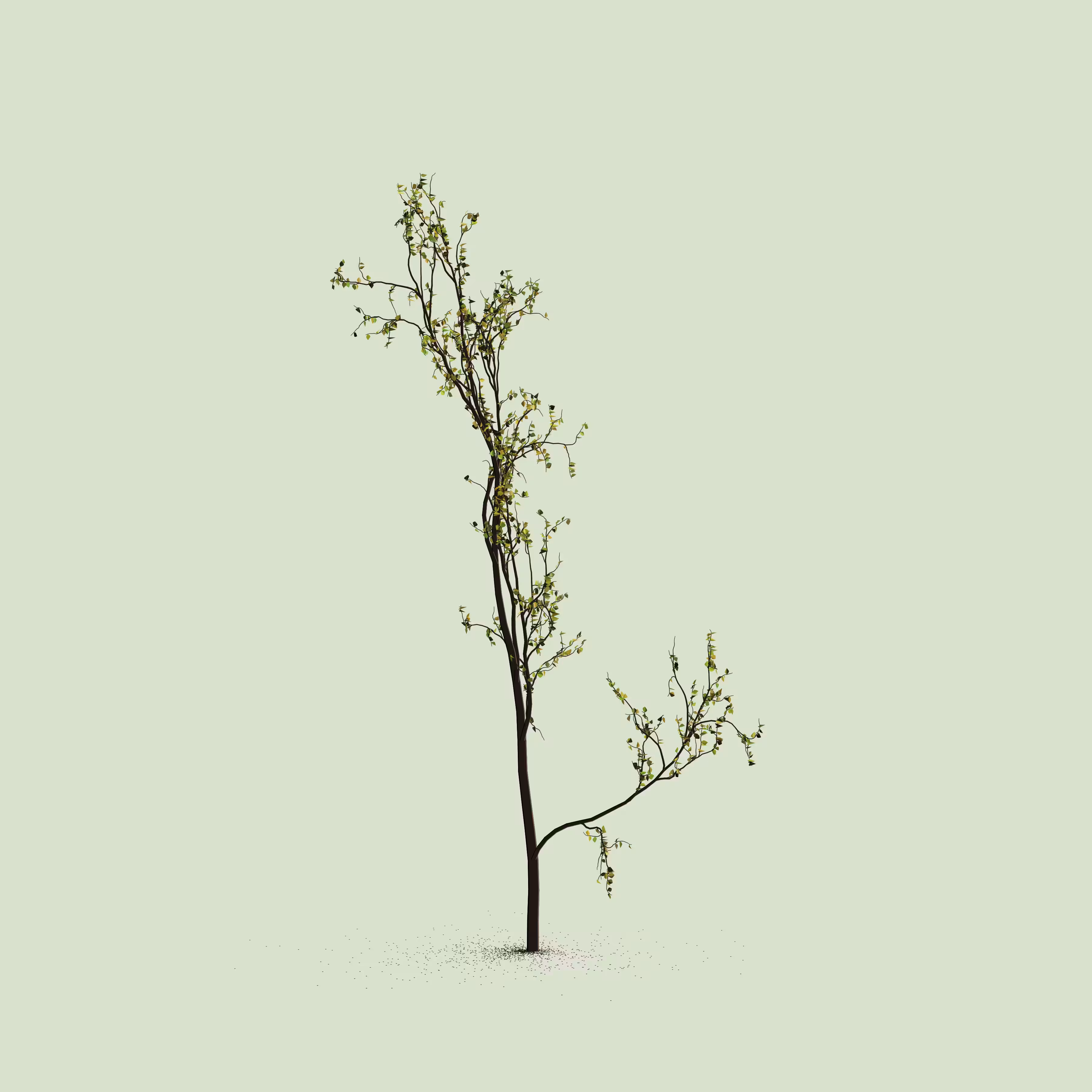 Little Trees #104
