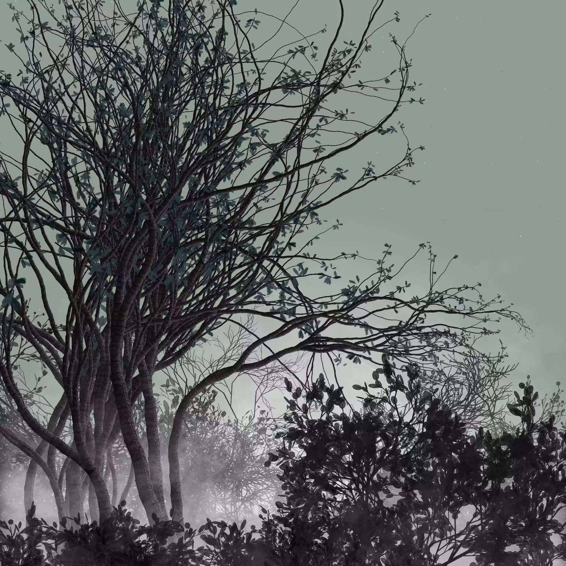 Morning Mist #4