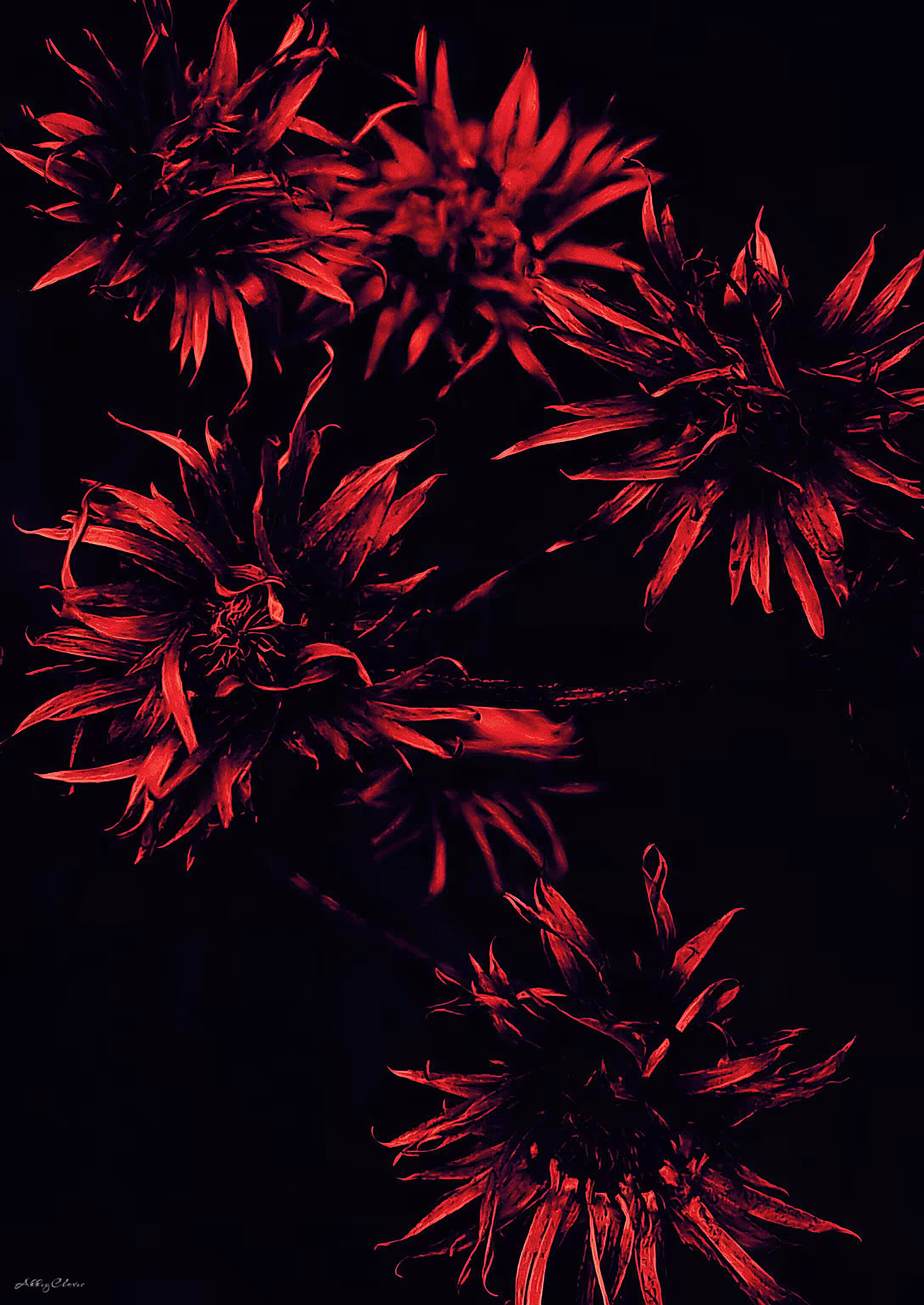 Flame of Life