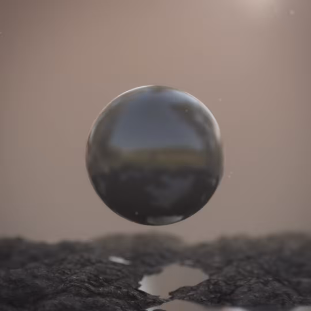 Daily Shit #11
