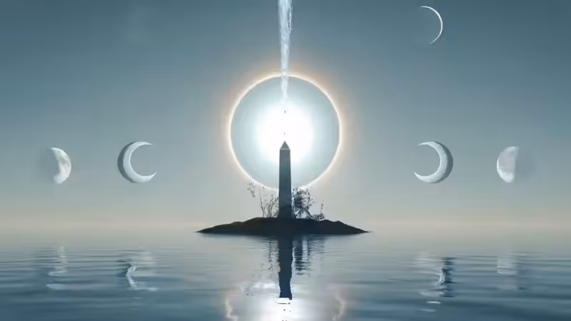 DX01: SINGULARITY 41585