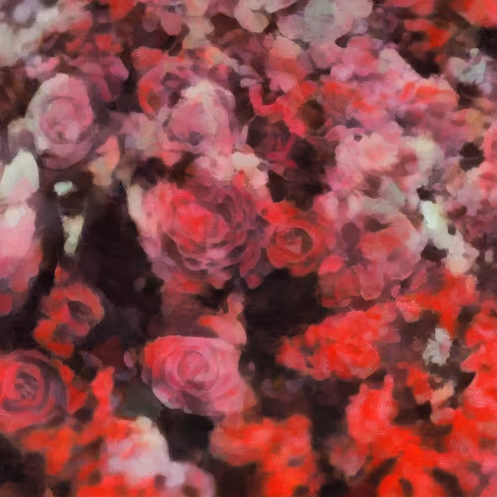 Blossom, No.1