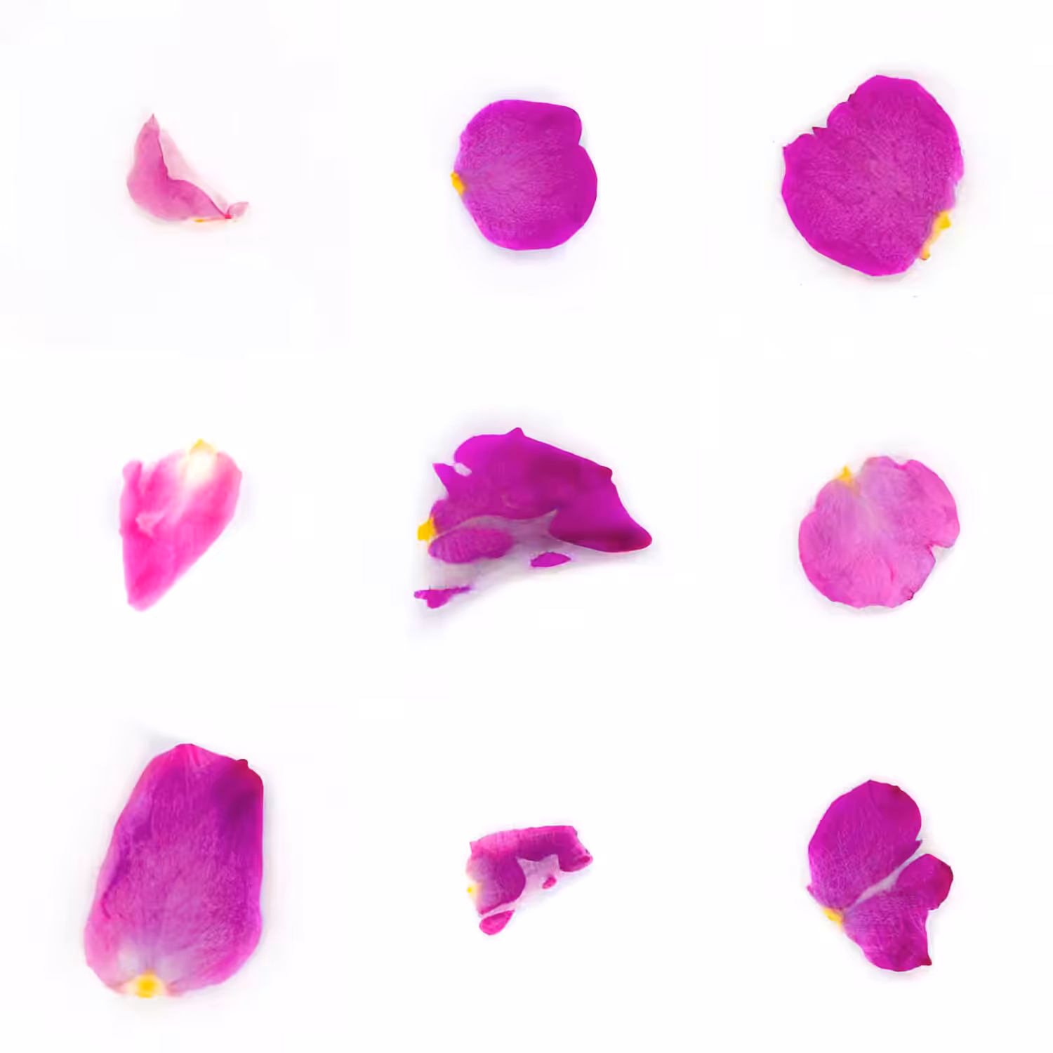 Infinite Petals 3x3#4213