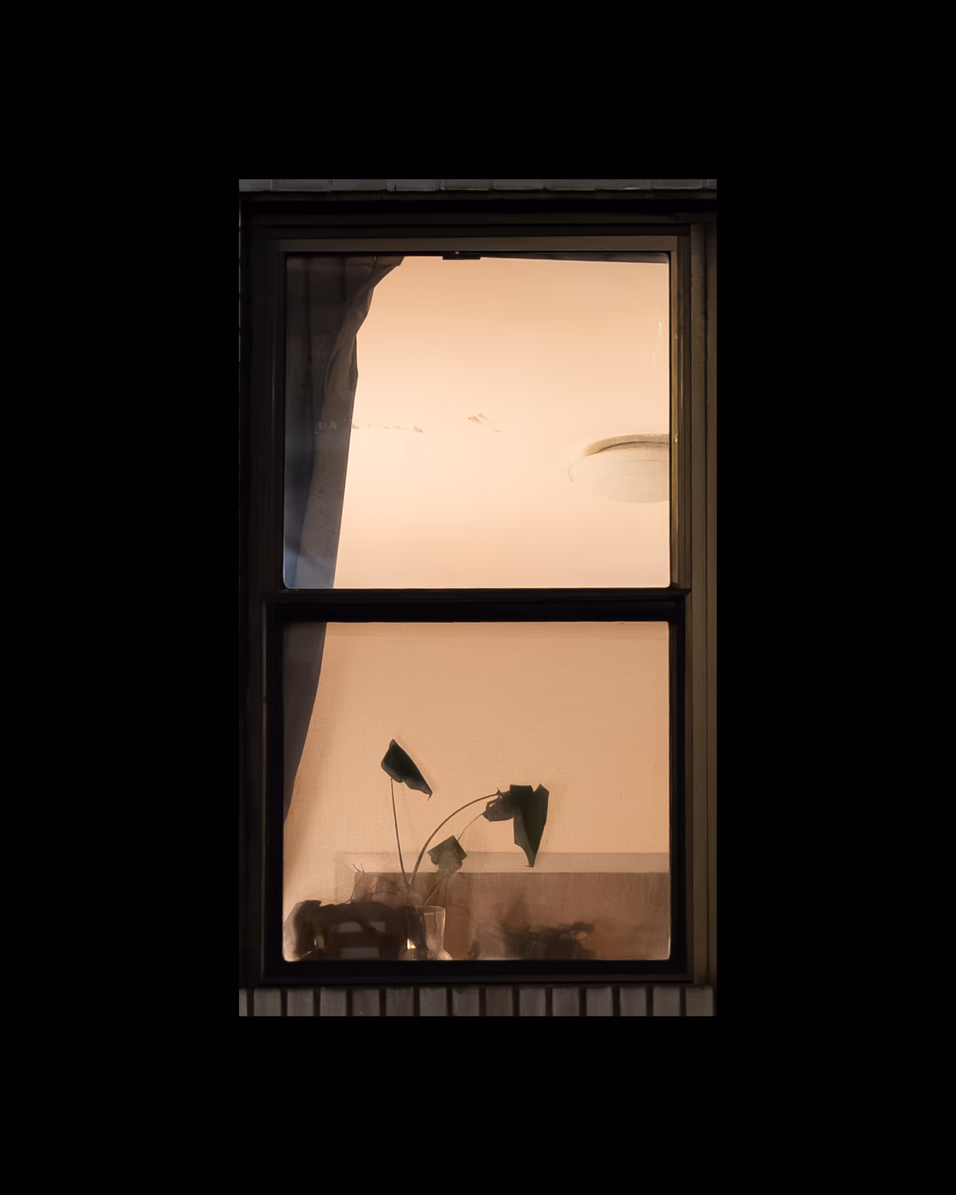 WINDOWS // NYC: WINDOW 692