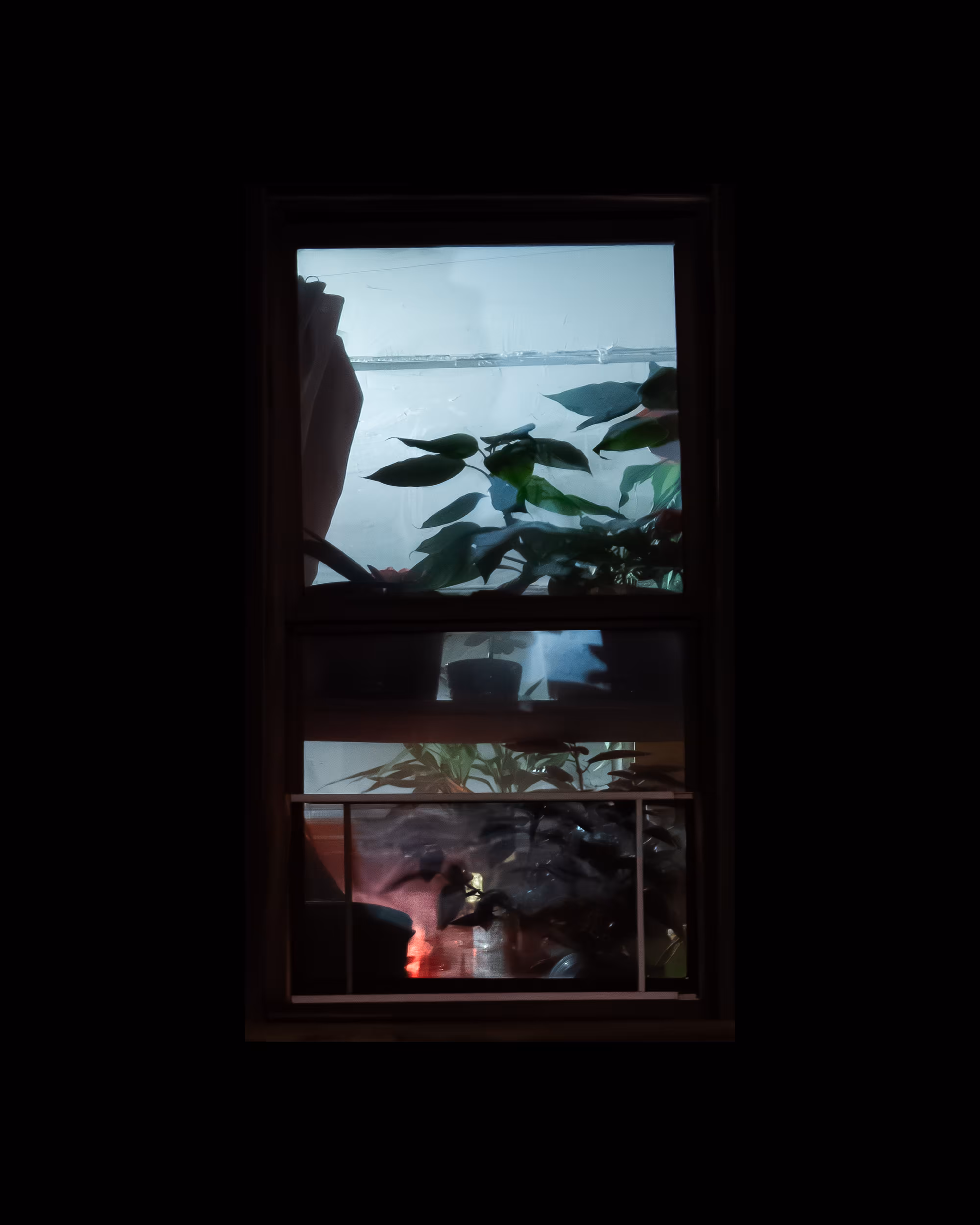 WINDOWS // NYC: WINDOW 695